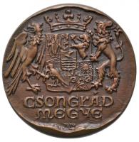 Tóth Sándor (1933-) DN "Csongrád megye" Br plakett gyűjtői tokban (124mm) T:1 Hungary ND "Csongrád County" Br plaque in collector's case. Sign.: Sándor Tóth (124mm) C:UNC