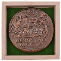 Tóth Sándor (1933-) DN "Csongrád megye" Br plakett gyűjtői tokban (124mm) T:1
Hungary ND ...