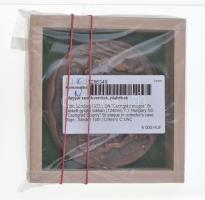 Tóth Sándor (1933-) DN "Csongrád megye" Br plakett gyűjtői tokban (124mm) T:1
Hungary ND ...