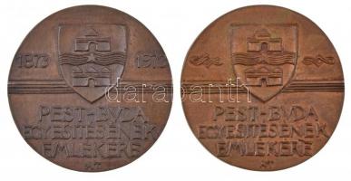 Asszonyi Tamás (1942-) 1972-1973. "Budapest MDCCCLXXII / Pest-Buda egyesítésének emlékére"...