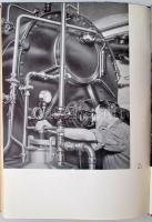 Richter Gedeon Vegyészeti Gyár R.T. 1901-1941.
Bp. 1942. Posner. 350 p. 23 fényképpel illusztrálva....