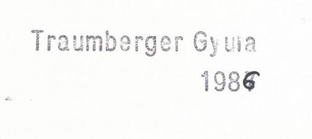 1986 Traumberger Gyula pecséttel jelzett vintage fotóművészeti alkotása, 13x18 cm