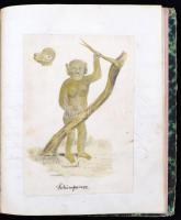 1856 Kézzel írott zoológia tankönyv, 72 német nyelven beírt oldal, plusz, 20 rajz. / 1856 German zoo...