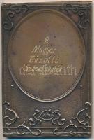 Lapis András (1942-) 1989. "Gróf Széchenyi Ödön Emlékplakett" Br plakett "A Magyar Tű...