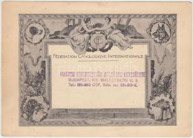 1963 a Fédération Cynologique Internationale francia nyelvű versenyképesség-igazolása magyar nyelvű ...
