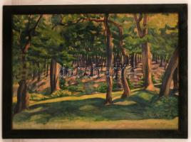 Tinagl jelzéssel: Erdő részlet. Akvarell, papír, üvegezett keretben, 29×41 cm