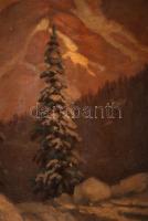 Tordai Székely Mihály, (1890 - 1940):  Alpesi táj. Olaj, vászon, jelzett, keretben,  60×80 cm