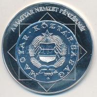 DN "A magyar nemzet pénzérméi - A rendszerváltás téves verete 1989-1990" Ag emlékérem tanú...