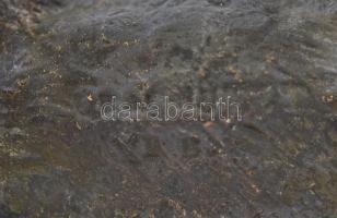 cca 1900 Jelzett bécsi bronz macska figura / cca 1900 Vienna, signed bronze cat figure 12x8 cm