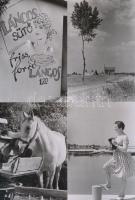 1968 Velencei-tó, fotós kirándulás,  Keveházi János felvételei, 17 db korabeli negatívról modern nag...