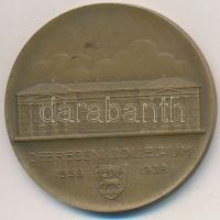 Berán Lajos (1882-1943) 1938. "Debreceni Collegium 1538-1938" Br emlékérem (40mm) T:2