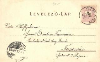 1899 Arad, Újarad. Skultéty síremlék, katolikus templom a Főúton; kiadja Mayr Lajos könyvnyomdája / ...