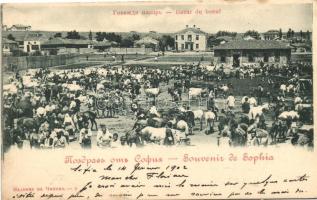 Sofia, Bazar de boeuf / ox market