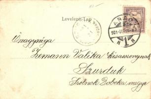 Arad, színház, magyar zászló / theatre, Hungarian flag litho