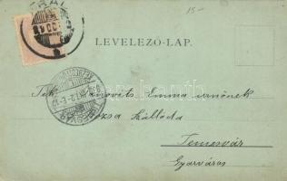 1899 Arad; Szabadság tér, Vértanú-szobor; Daimel Lajos, Schwarz Testvérek, Ries J. és Társa üzletei ...