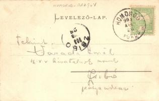 Homoród-fürdő, Borvízkút, hidegfürdő / spa