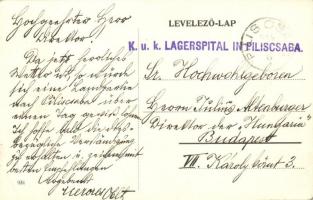 Piliscsaba, Katonai tábor, szemle