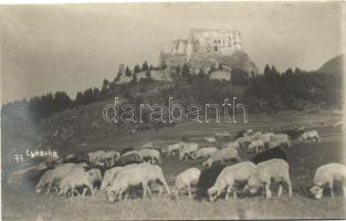 Likavka, Vár / castle, flock of sheep