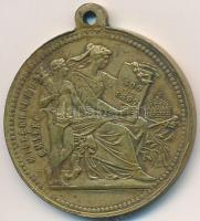 1896. "I. Ferencz József / Millenniumi emlék" fém emlékérem füllel (29,5mm) T:2,2- ph