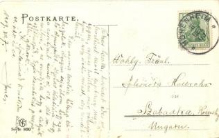 Schwerer Schlag, Mensur / German academic fencing s: P. Werth