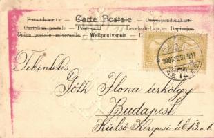 Boldog újévet! Kéményseprő / chimney sweep, New Year greeting Emb