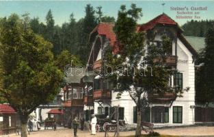 Seeboden am Millstätter See, Steiner's Gasthof / hotel