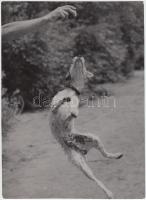 cca 1932 Kinszki Imre (1901-1945): Játék, pecséttel jelzett vintage fotóművészeti alkotás, 18x13 cm