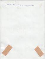 1964 Albertini Béla: Virág a nagyüzemben, feliratozott vintage fotóművészeti alkotás, 24x18 cm