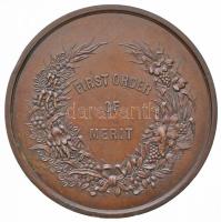 Ausztrália 1887. "Adelaide Jubileumi Nemzetközi Kiállítás" kétoldalas Br érem. Szign.: Ern...