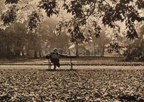 Rexa Dezső: Margitsziget. Bp., 1940, Officina.
111 oldal, 4 db szines fotó , valamint az 57. oldalt...