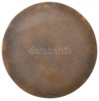 Pátzay Pál (1896-1979) DN "Sajó Elemér 1875-1934" Br vízügyi díjplakett "LUDVIG"...