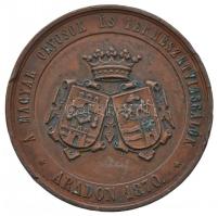 Wenzel Seidan (1817-1870) 1870. "A Magyar Orvosok és Természetvizsgálók - Aradon 1870 / A termé...