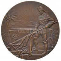 Német Birodalom 1905. "Hermann von Wissmann halálára" Br emlékérem. Szign.: Albert Moritz ...