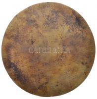 DN "Újpesti Lengyel Kisebbségi Önkormányzat" jelzett Br plakett. Szign.: MJ? (99mm) T:2
H...