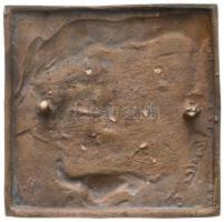 DN "Erdei Ferenc" egyoldalad Br plakett. Szign.: H (111x110mm) T:2
Hungary ND "Feren...