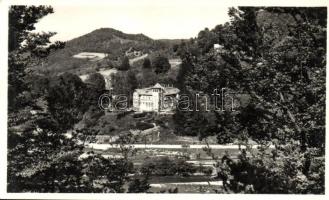 Csucsa, Ciucea; a volt Ady kastély / the former Ady castle