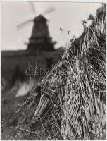 cca 1970 Zsigri Oszkár (1933-?): Kévék, feliratozott vintage fotóművészeti alkotás a szerző hagyatékából, 23,5x18 cm