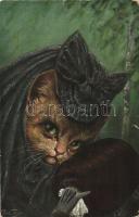 Cat lady in black dress, T.S.N. Serie 896. s: Arthur Thiele (b)