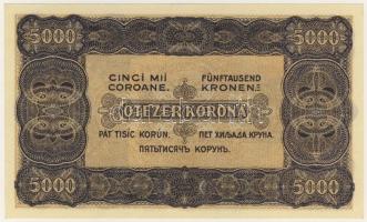 1923. 5000K "Magyar Pénzjegy..." T:I
