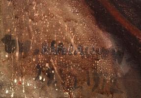 Tadeusz Małachowski (1928-1987) : Darwin. Olaj, vászon, jelzett, keretben, 50×40 cm