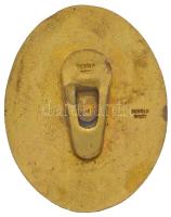 ~1920. "Magyar Evezős Szövetség" aranyozott, zománcozott fém gomblyukjelvény, hátoldalon &...