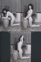 cca 1978 Délelőtti program a lakótelepen, 13 db finoman erotikus fénykép, korabeli negatívokról kész...