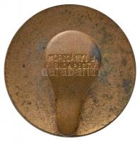 ~1910. "Budai Zene Akadémia" zománcozott gomblyuk jelvény "MORZSÁNYI J. BUDAPEST"...