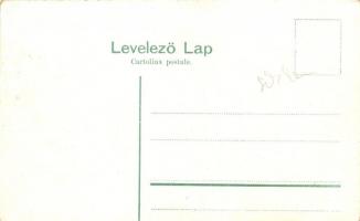 Salondampfer Tátra kirándulóhajó / Hungarian cruise ship at night