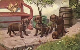 Dog puppies, T.S.N. Serie 2050. (EK)