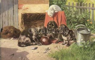 Dog puppies with cat, T.S.N. Serie 2050. (EK)
