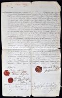1847 Kolozsvári gyógyszerész patikanyitás iránti kérelme, jóváhagyva és ellenjegyezve 1848-ban. Városi tanácsosok aláírásával és pecsétjével / 1847 Kolozsvar pharmacist appeal for operning a pharmacy.