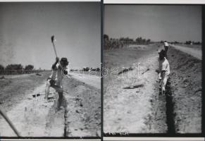 cca 1933 Lakihegyi rádió adótoronyhoz vezető földkábelt fekteti a Magyar Posta, Kerny István (1879-1...