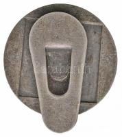 Madarassy Walter (1909-1994) 1937. "Budapesti Királyi Orvosegyesület Centenáriuma" fém gom...