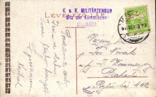 Munkács, Mukacheve, Mukacevo; a jövőben montázslap / in the future montage